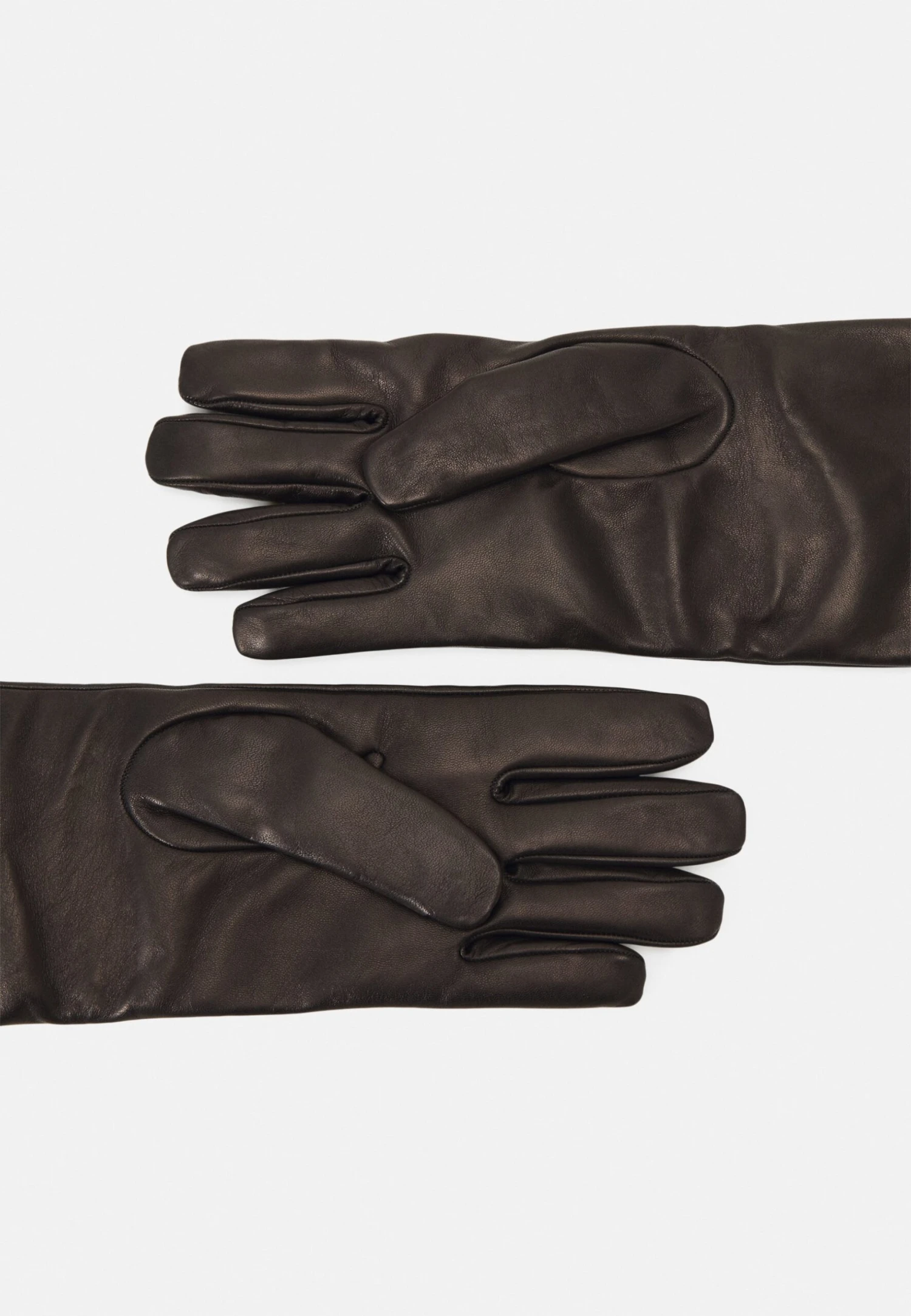 Versace Modulo Spallina OrizzonateGuantiBlack/Gold Donna Guanti 1VE51A00G-Q11 2 Versace Modulo Spallina OrizzonateGuantiBlack/Gold Donna Guanti 1VE51A00G-Q11 - immagine 2