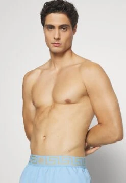 Versace Swim BoxerShorts Da MareSummer Sky Blu/Gold-Coloured Uomo Moda Mare 1VE82H01U-K11 -Accessories c81f71db79814a529e88d0e93e0d0bcb